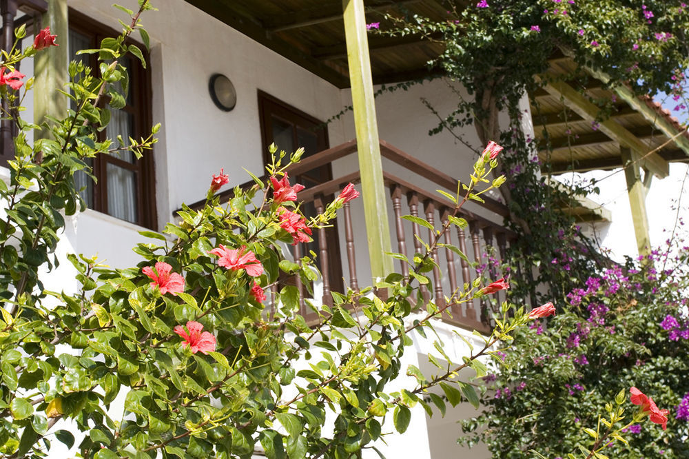 Delfi Hotel Spa & Wellness Center Bodrum Exterior foto